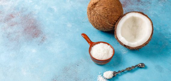 8449 Coconut milk Powder image